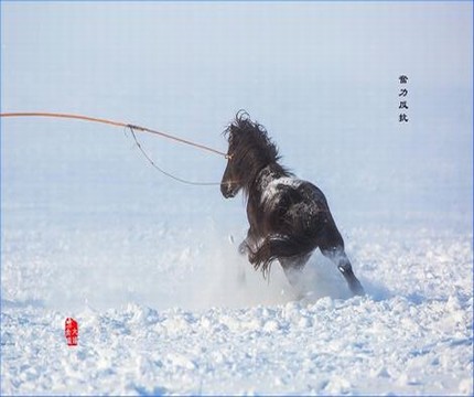 《汤妇蒂芙尼》未删版