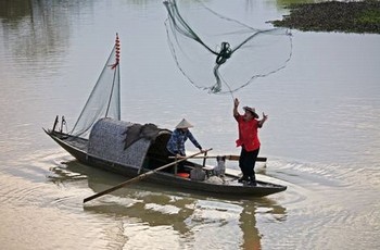 丁香人才网官方网站