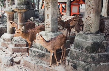 万能磁力