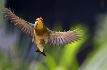 三个护士的特殊治疗