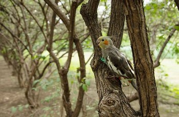 九一影视传媒有限公司