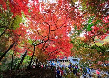 去有风的地方98影院