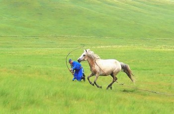 又软又弹的大馒头