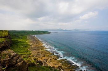 含害草研究满18直接进入