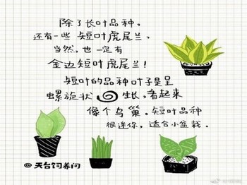 斗罗大陆之帝炎