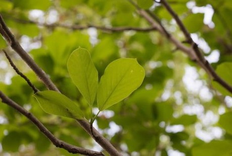 无与伦比的美丽婚礼