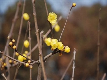 日本18岁精华液排行榜